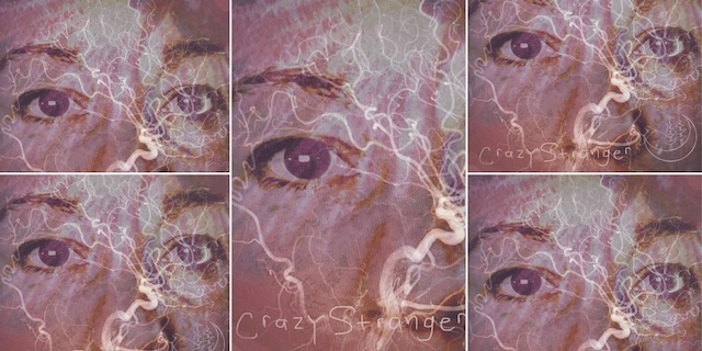 Production of Crazy Stranger by Shani Forrester and the MoonShip
